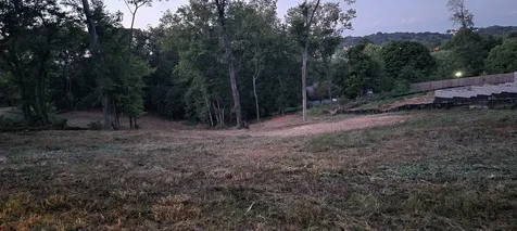 17 Alpine Drive Columbia TN 38401