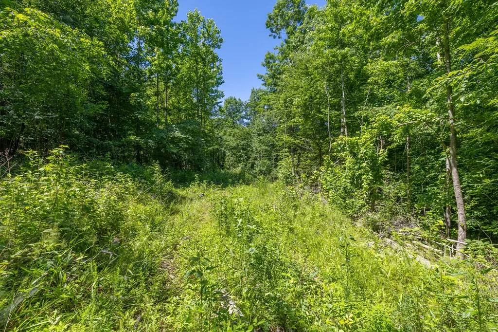 0 White Oak Road Stewart TN 37175