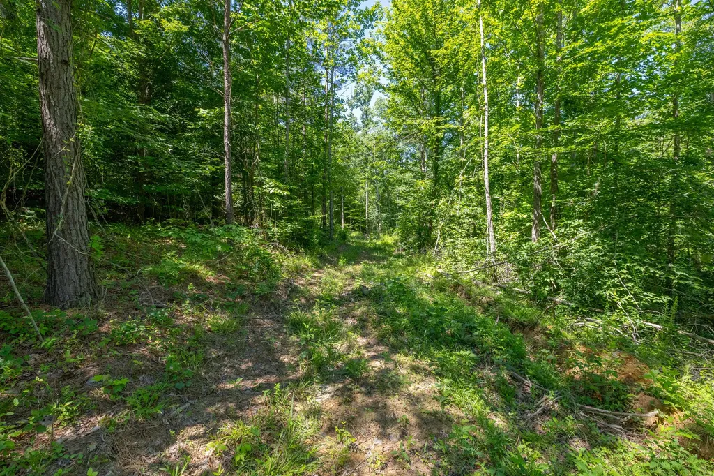 0 White Oak Road Stewart TN 37175