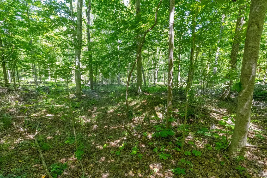 0 White Oak Road Stewart TN 37175