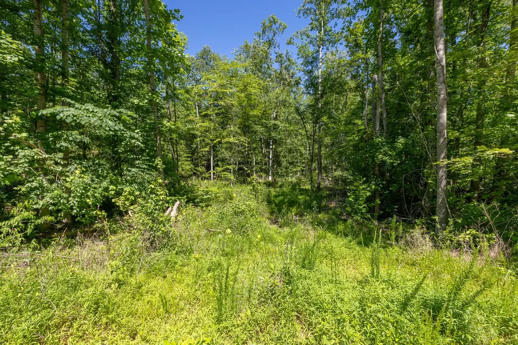 0 White Oak Road Stewart TN 37175