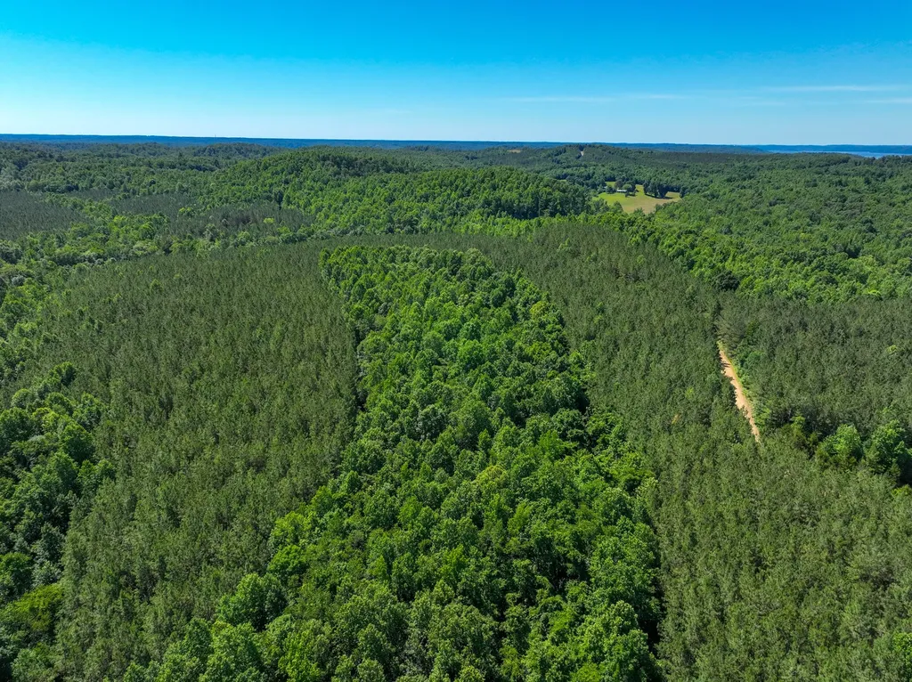 0 White Oak Road Stewart TN 37175