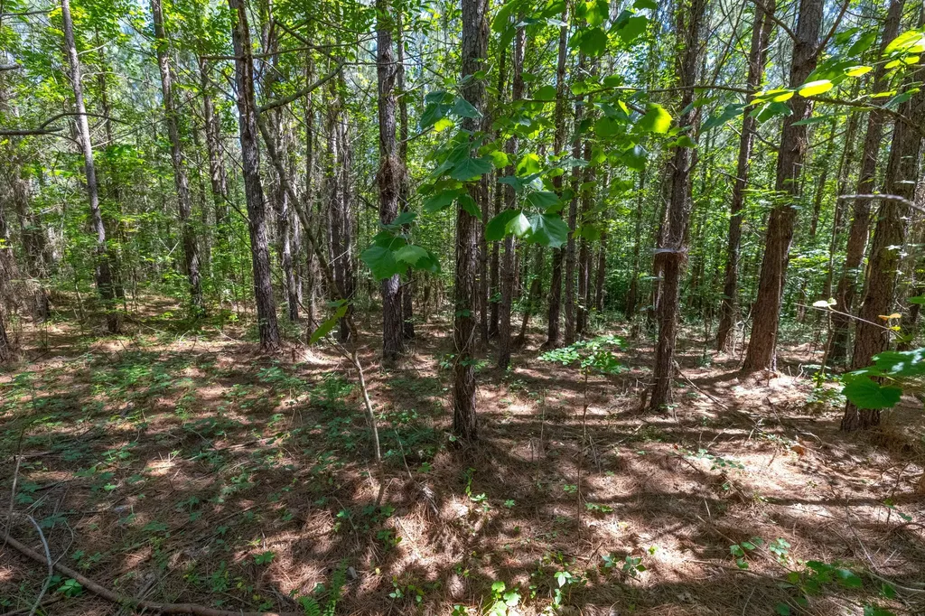 0 White Oak Road Stewart TN 37175