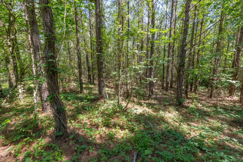 0 White Oak Road Stewart TN 37175