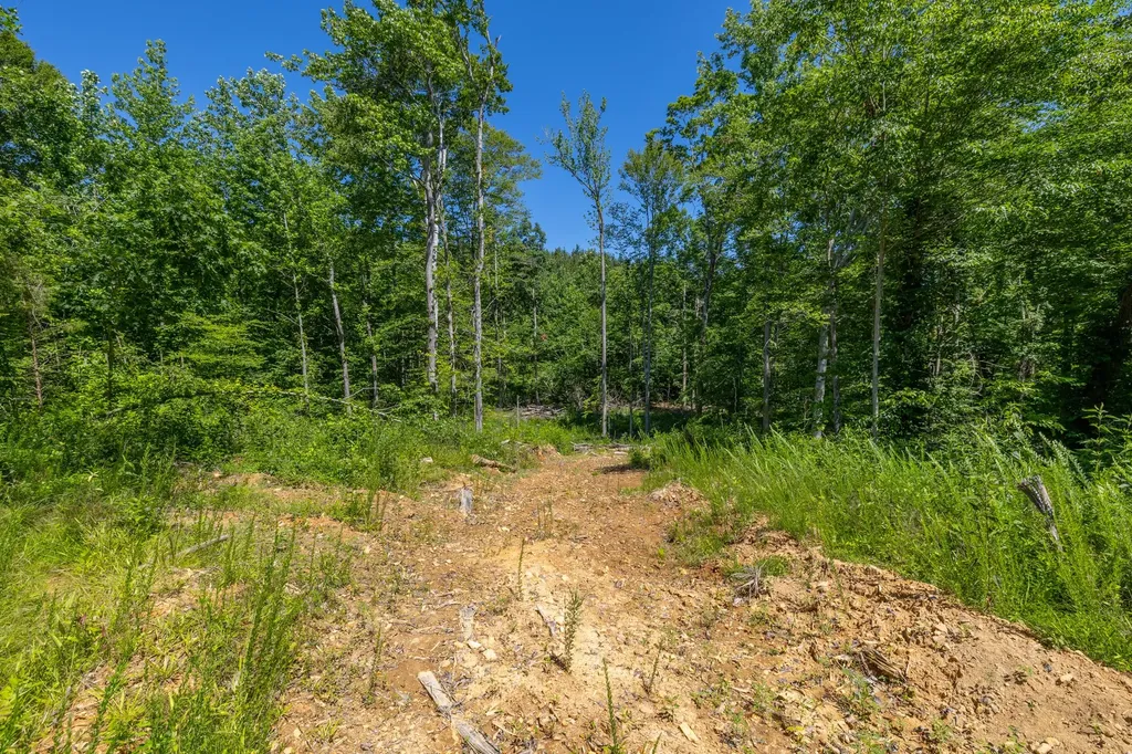 0 White Oak Road Stewart TN 37175