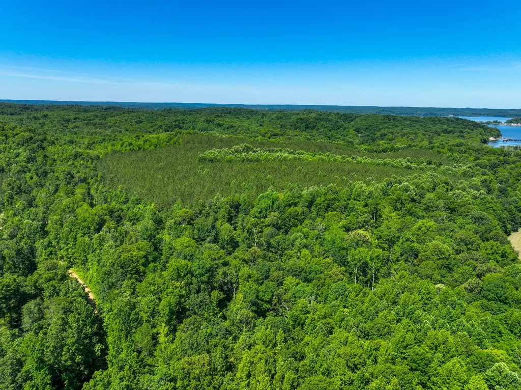 0 White Oak Road Stewart TN 37175