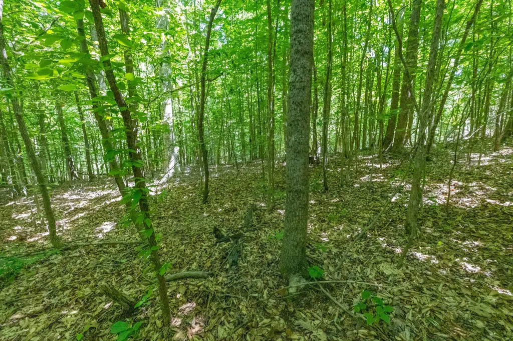 0 White Oak Road Stewart TN 37175