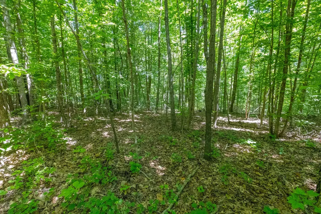 0 White Oak Road Stewart TN 37175