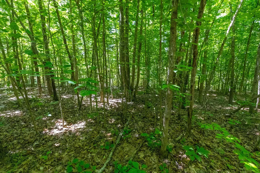 0 White Oak Road Stewart TN 37175