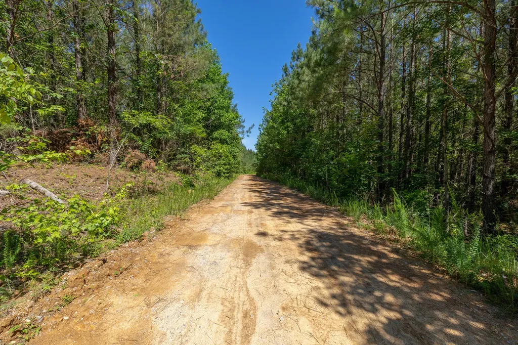 0 White Oak Road Stewart TN 37175