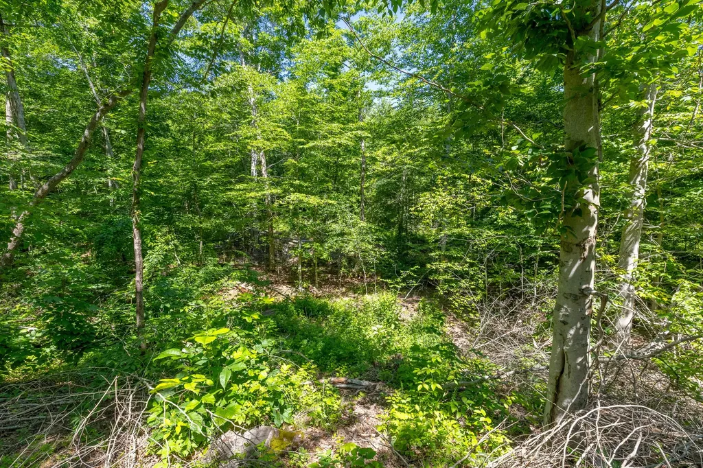 0 White Oak Road Stewart TN 37175