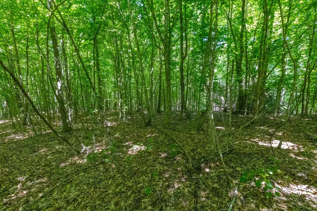 0 White Oak Road Stewart TN 37175