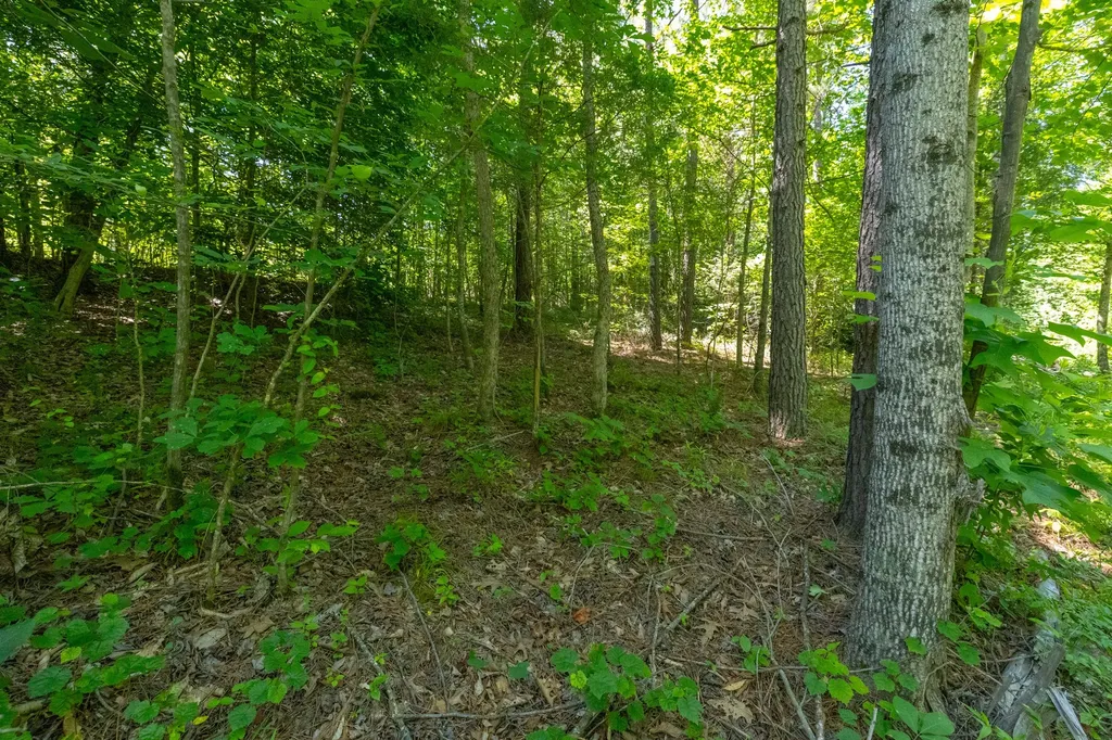 0 White Oak Road Stewart TN 37175