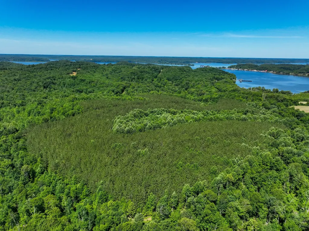 0 White Oak Road Stewart TN 37175