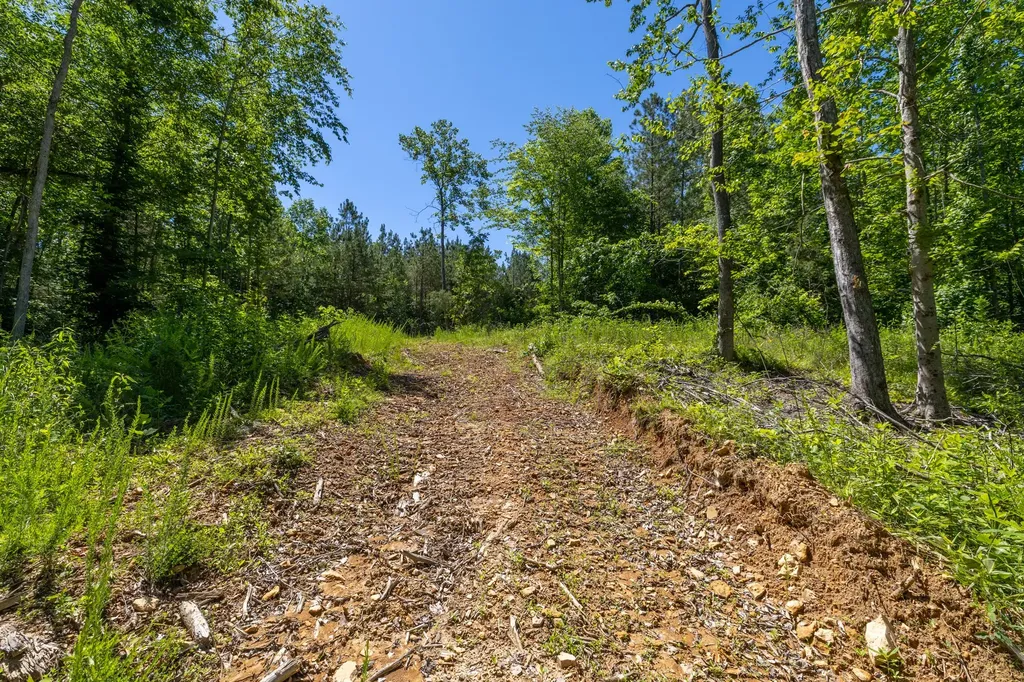 0 White Oak Road Stewart TN 37175