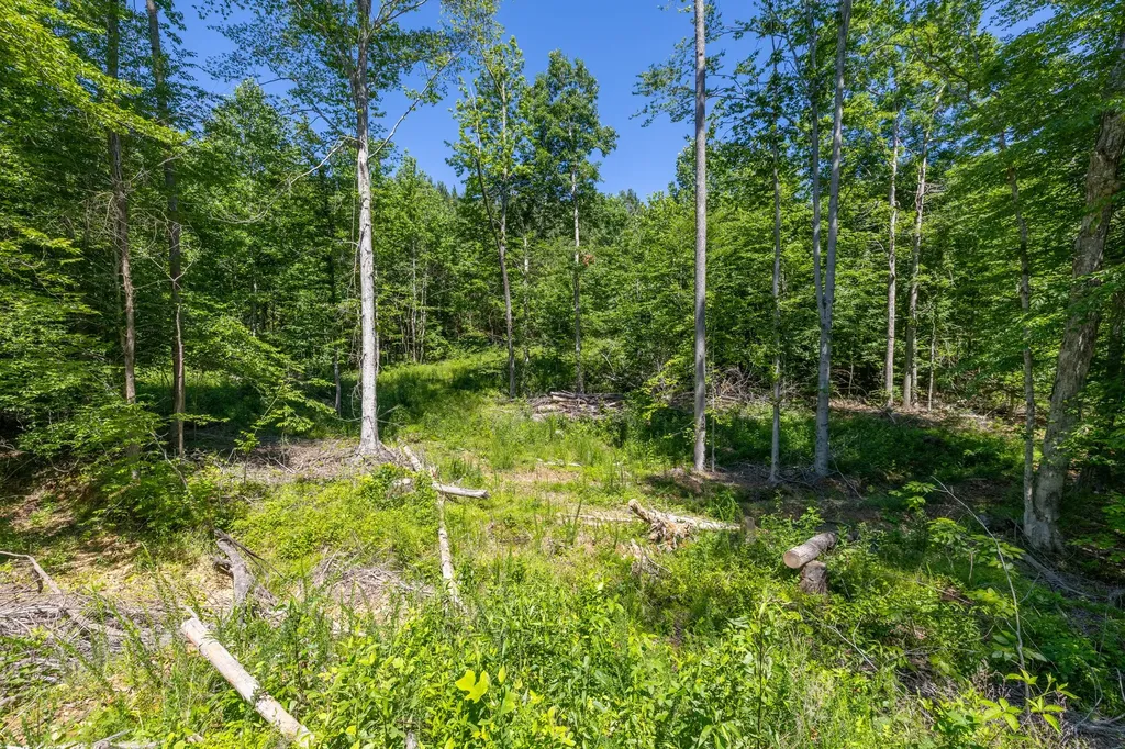 0 White Oak Road Stewart TN 37175