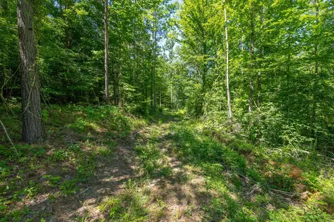 0 White Oak Road Stewart TN 37175