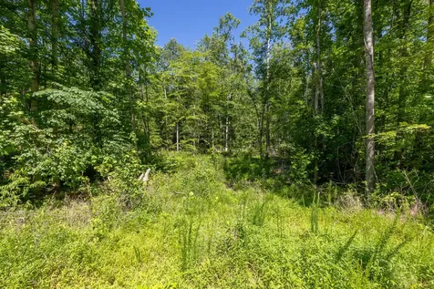 0 White Oak Road Stewart TN 37175