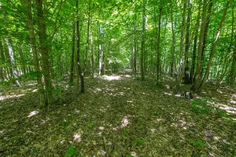 0 White Oak Road Stewart TN 37175