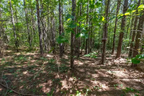 0 White Oak Road Stewart TN 37175