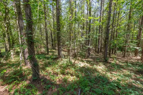 0 White Oak Road Stewart TN 37175