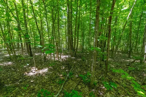 0 White Oak Road Stewart TN 37175