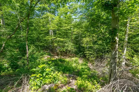 0 White Oak Road Stewart TN 37175