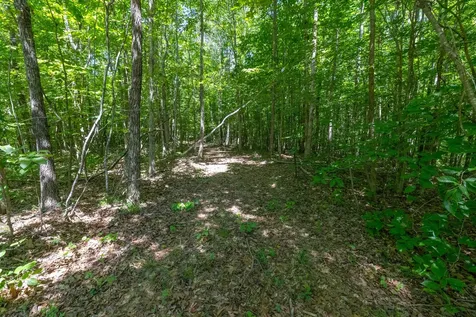 0 White Oak Road Stewart TN 37175