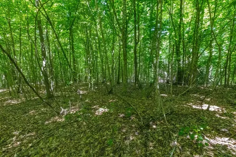 0 White Oak Road Stewart TN 37175