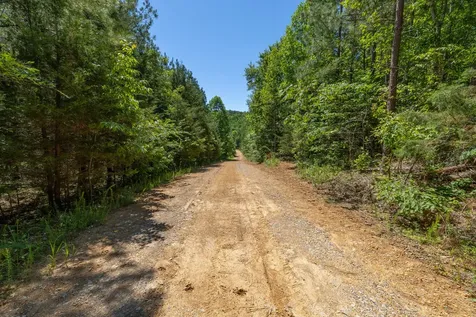 0 White Oak Road Stewart TN 37175