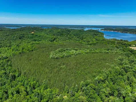 0 White Oak Road Stewart TN 37175
