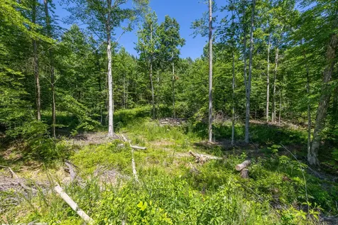 0 White Oak Road Stewart TN 37175