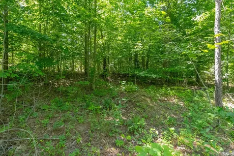 0 White Oak Road Stewart TN 37175