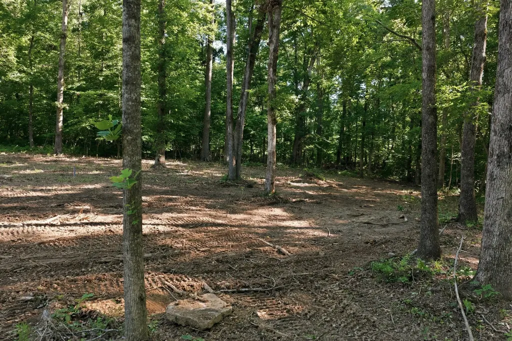 0 Hardwood Trail Burns TN 37029