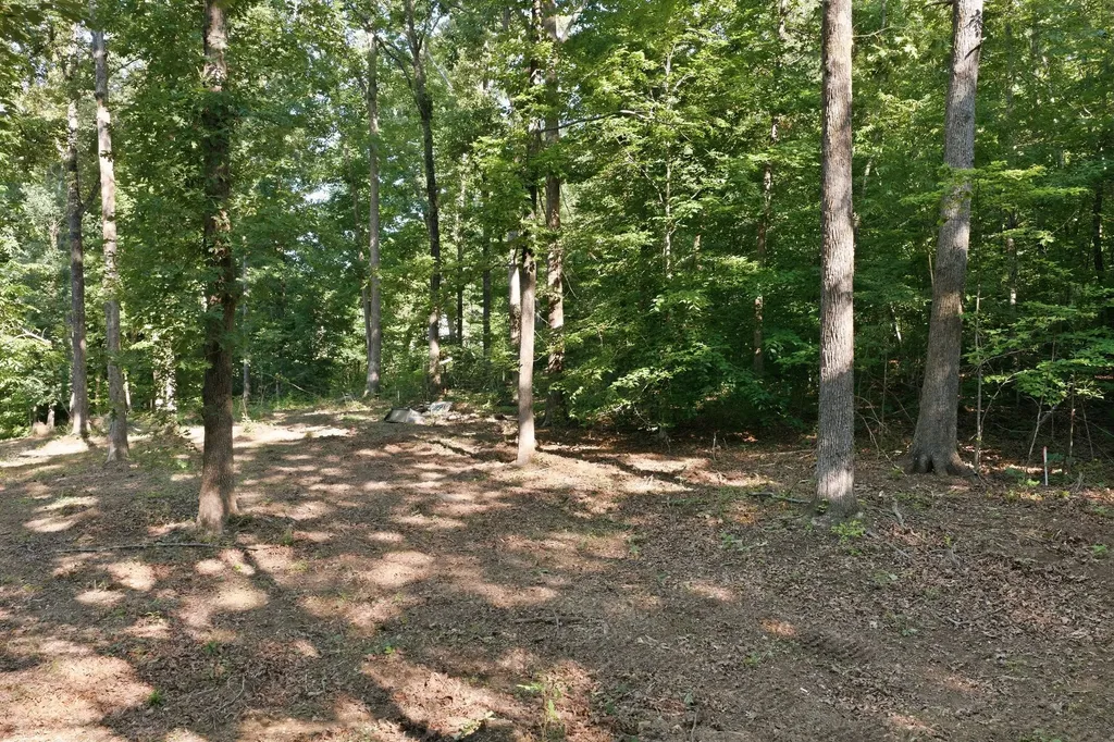 0 Hardwood Trail Burns TN 37029
