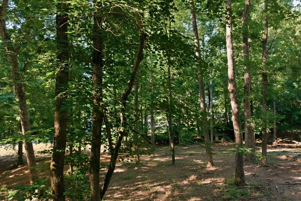 0 Hardwood Trail Burns TN 37029