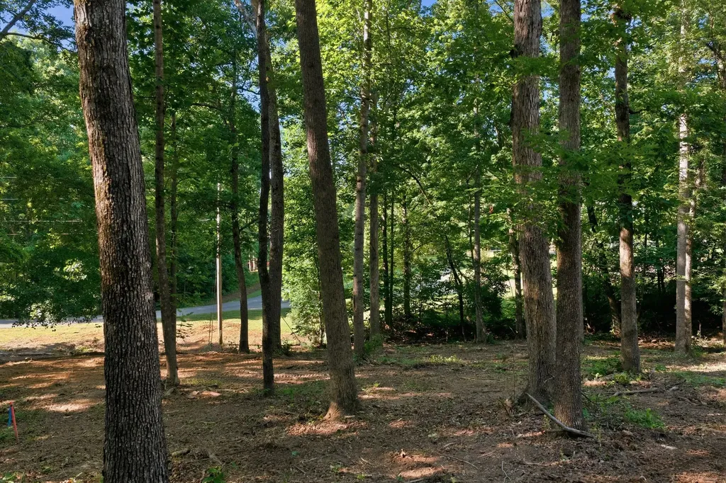 0 Hardwood Trail Burns TN 37029