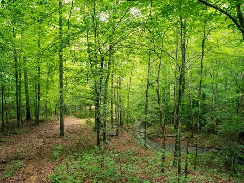 66 Shawnokee Trail Charlotte TN 37036