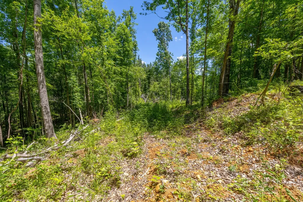 0 White Oak Road Stewart TN 37175