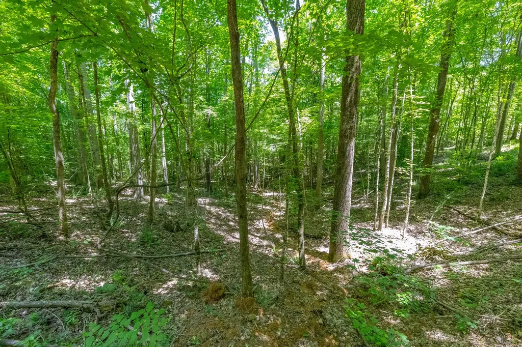 0 White Oak Road Stewart TN 37175