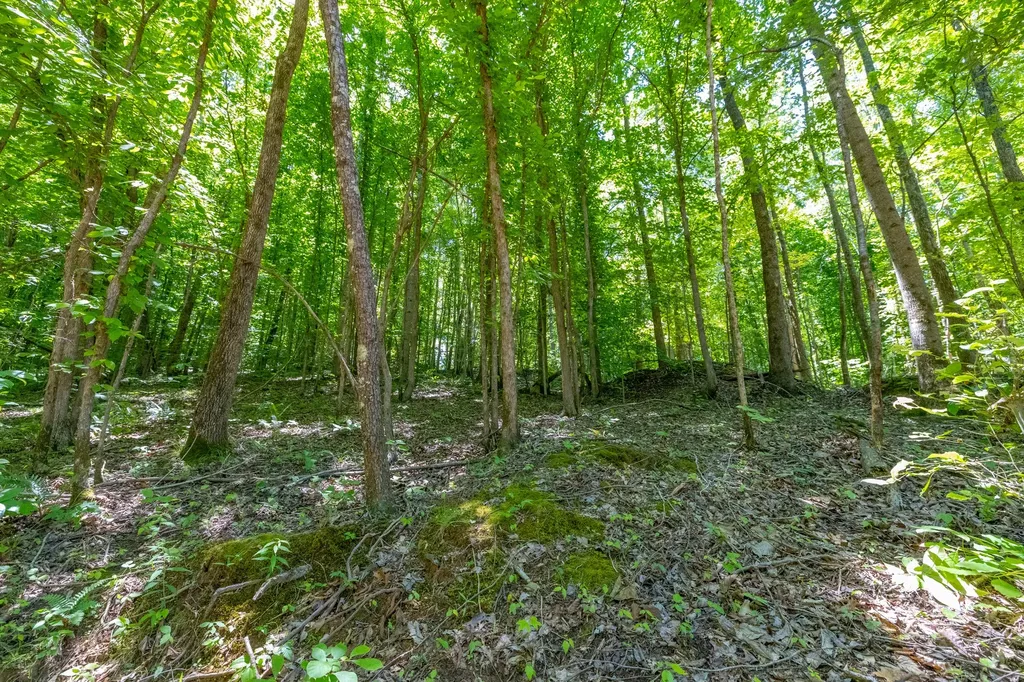 0 White Oak Road Stewart TN 37175