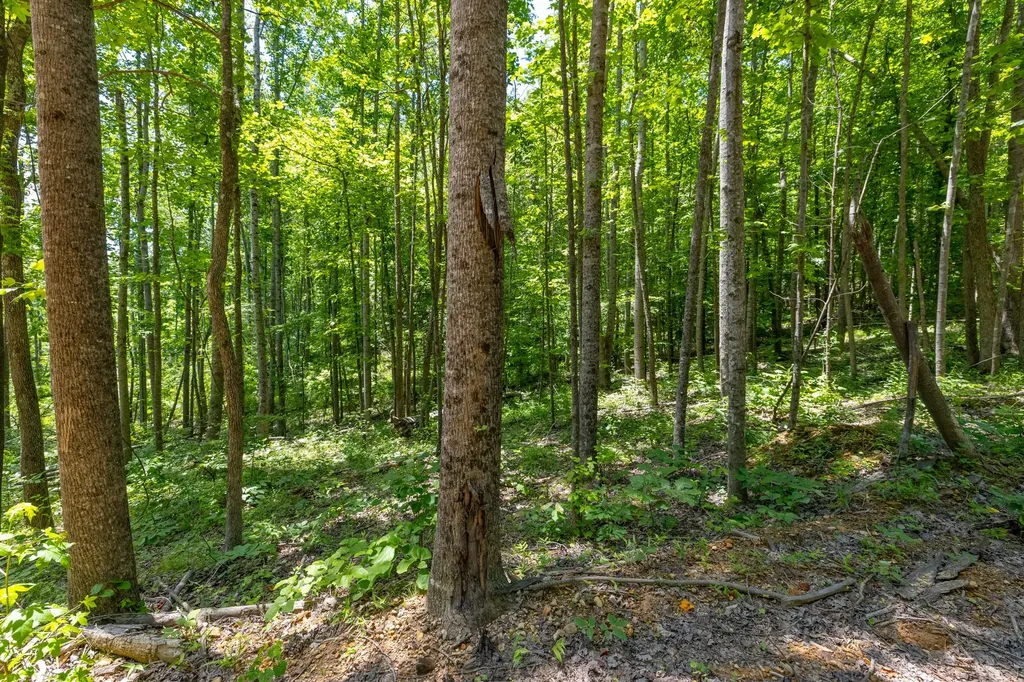 0 White Oak Road Stewart TN 37175