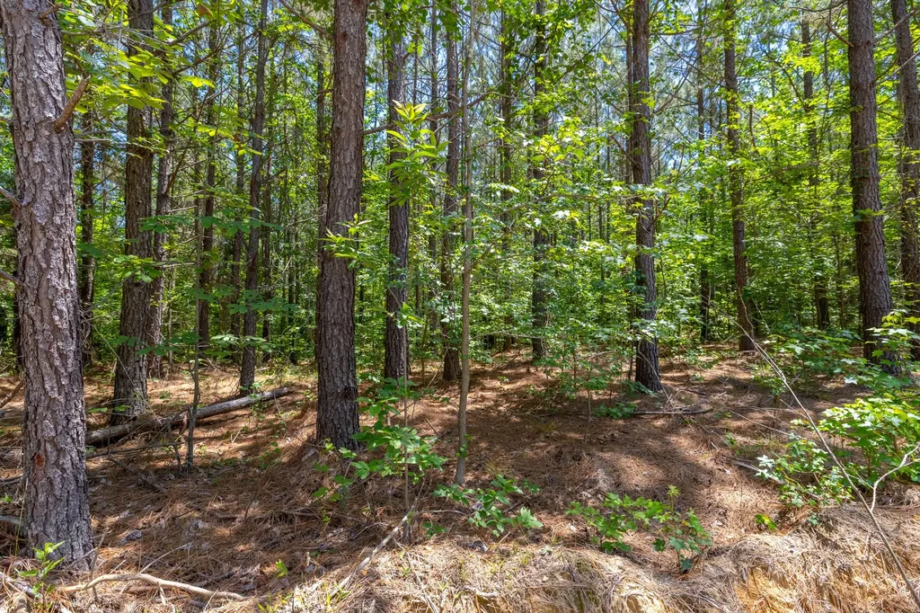 0 White Oak Road Stewart TN 37175