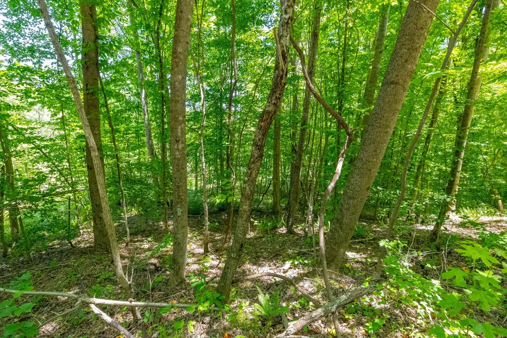0 White Oak Road Stewart TN 37175