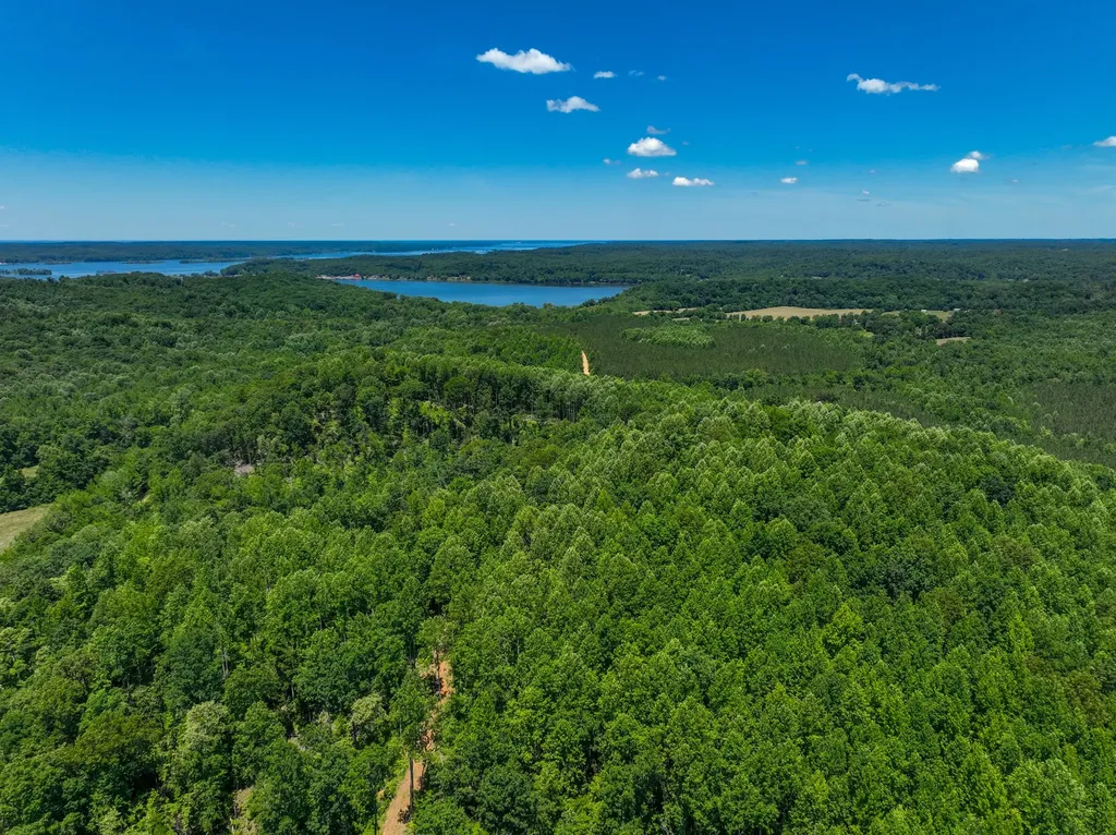 0 White Oak Road Stewart TN 37175