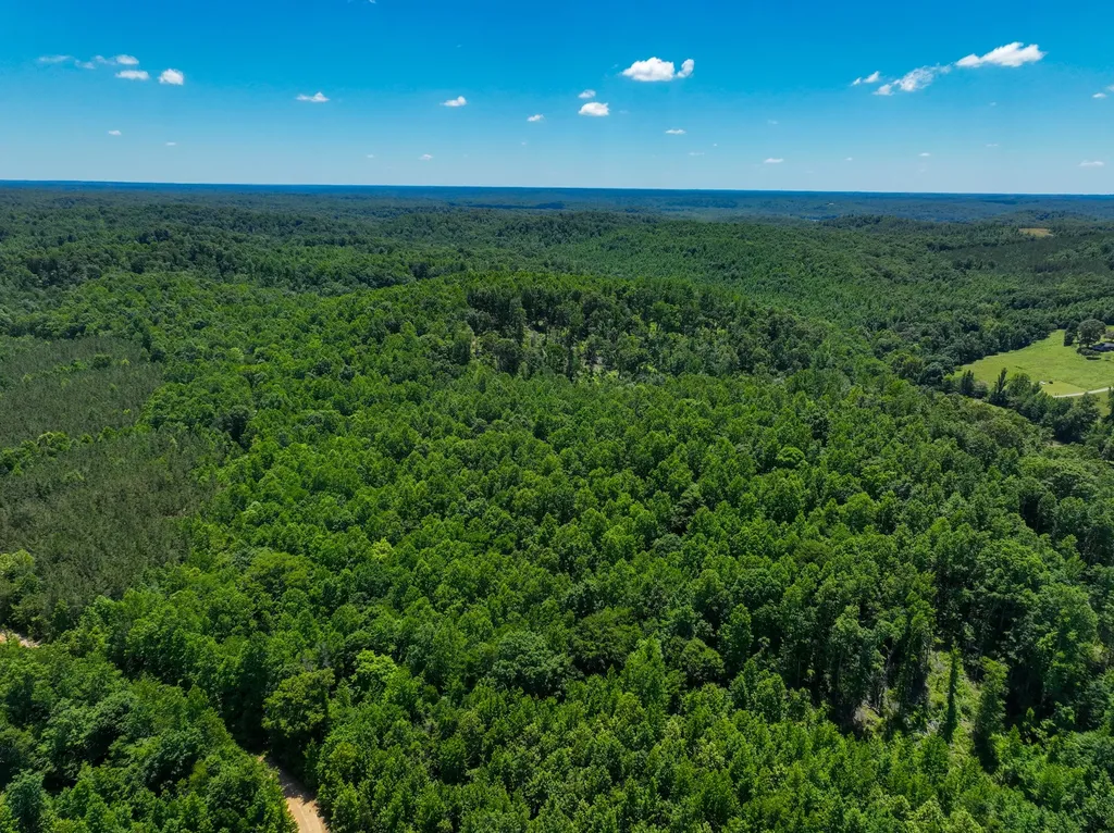 0 White Oak Road Stewart TN 37175