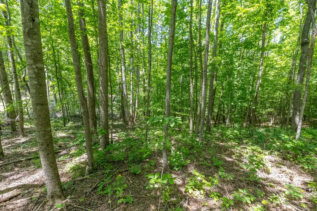 0 White Oak Road Stewart TN 37175