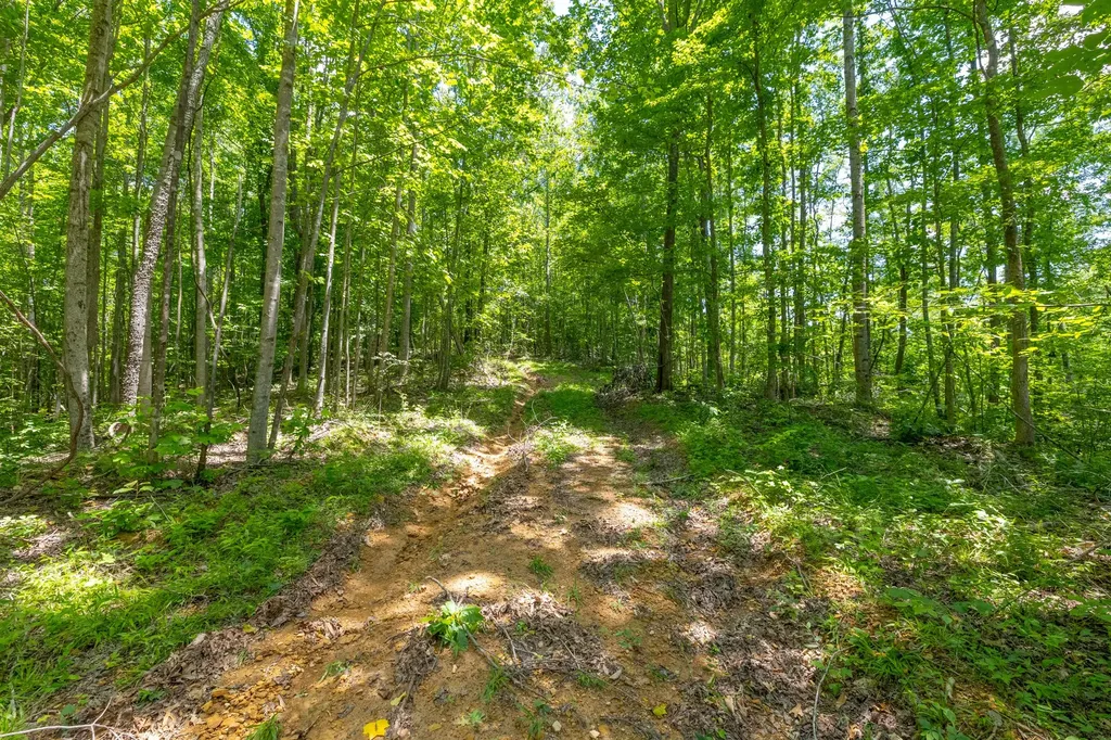 0 White Oak Road Stewart TN 37175