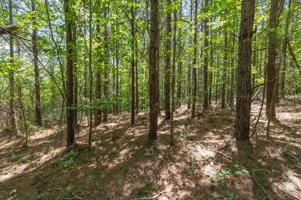 0 White Oak Road Stewart TN 37175