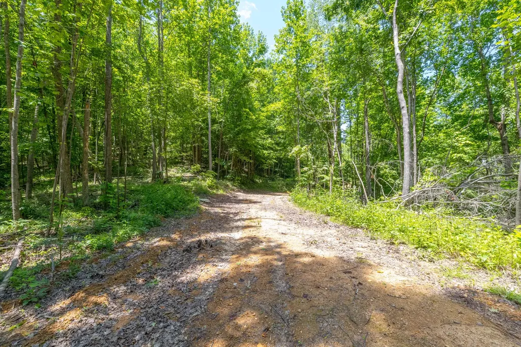 0 White Oak Road Stewart TN 37175